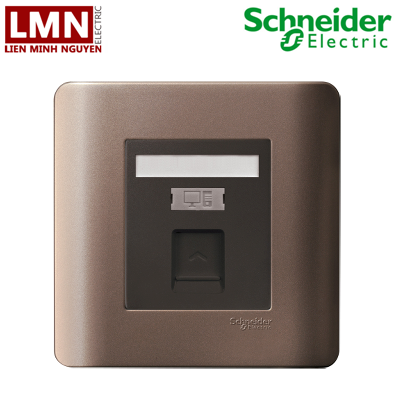 E8431RJS_5_SZ_G19-schneider-o-cam-mang-cat5e-don