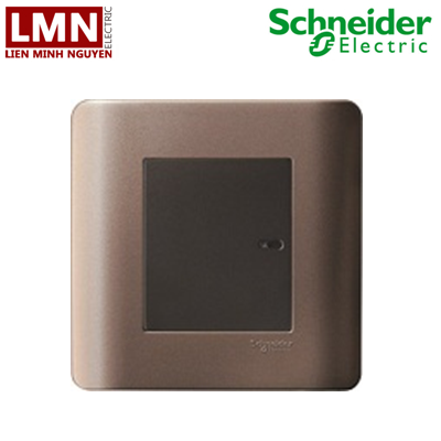 E8431_2_SZ_G19-schneider-bo-cong-tac-don-2-chieu-16a-mau-dong