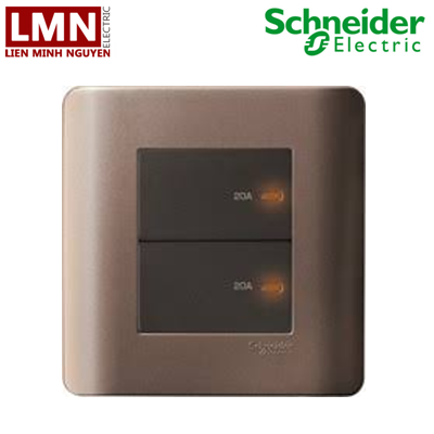 E8432D20_SZ_G19-Schneider-bo-cong-tac-doi-2-cuc-20a