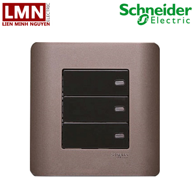 E8433_2_SZ_G19-schneider-bo-cong-tac-ba-2-chieu-16a-mau-dong