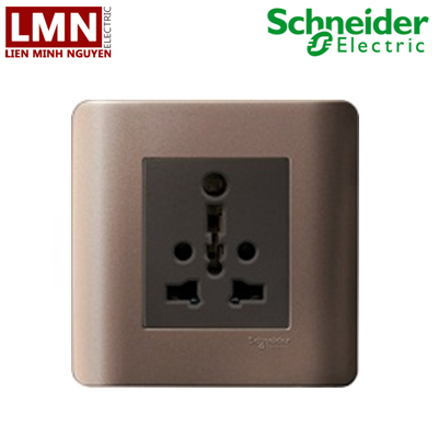 E84426_16TS_SZ_G19-schneider-o-cam-da-nang-kieu-anh-mau-dong