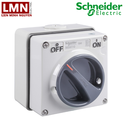 S56SW110GY-56-series-schneider-cong-tac-1p-10a-250v