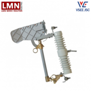 VSE-LBPFCO27100-cau-chi-tu-roi-cat-co-tai-vinasino